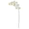 44" Phalaenopsis Orchid Artificial Flower (Set of 6)